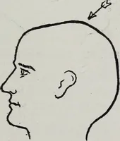 An illustration from Phrenology; how to tell your own and your friend's character from the shape of the head (1910)