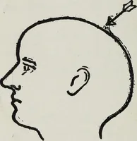 An illustration from Phrenology; how to tell your own and your friend's character from the shape of the head (1910)