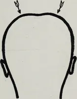 An illustration from Phrenology; how to tell your own and your friend's character from the shape of the head (1910)