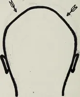 Picture 31 of 49 from Phrenology; how to tell your own and your friend's character from the shape of the head (1910), leaf 115