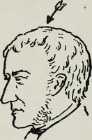 Picture 32 of 49 from Phrenology; how to tell your own and your friend's character from the shape of the head (1910), leaf 117