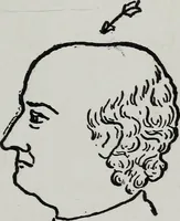 An illustration from Phrenology; how to tell your own and your friend's character from the shape of the head (1910)