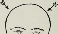 An illustration from Phrenology; how to tell your own and your friend's character from the shape of the head (1910)