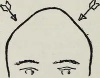 Picture 36 of 49 from Phrenology; how to tell your own and your friend's character from the shape of the head (1910), leaf 125