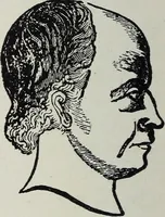 An illustration from Phrenology; how to tell your own and your friend's character from the shape of the head (1910)