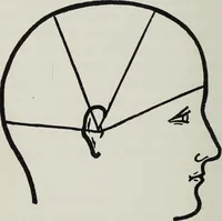 An illustration from Phrenology; how to tell your own and your friend's character from the shape of the head (1910)