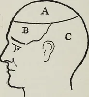 An illustration from Phrenology; how to tell your own and your friend's character from the shape of the head (1910)