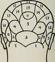 An illustration from Phrenology; how to tell your own and your friend's character from the shape of the head (1910)