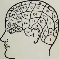 An illustration from Phrenology; how to tell your own and your friend's character from the shape of the head (1910)