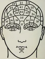 An illustration from Phrenology; how to tell your own and your friend's character from the shape of the head (1910)