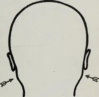 An illustration from Phrenology; how to tell your own and your friend's character from the shape of the head (1910)