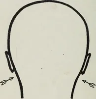 An illustration from Phrenology; how to tell your own and your friend's character from the shape of the head (1910)