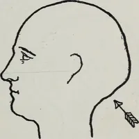 An illustration from Phrenology; how to tell your own and your friend's character from the shape of the head (1910)