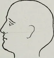 An illustration from Phrenology; how to tell your own and your friend's character from the shape of the head (1910)