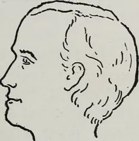 An illustration from Phrenology; how to tell your own and your friend's character from the shape of the head (1910)
