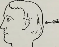 An illustration from Phrenology; how to tell your own and your friend's character from the shape of the head (1910)