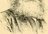 Picture 10 of 74 from Phrenology, and how to use it in analyzing character (1871), leaf 104
