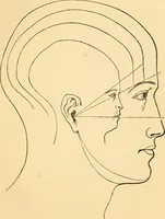 An illustration from Phrenology, and how to use it in analyzing character (1871)