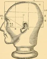 An illustration from Phrenology, and how to use it in analyzing character (1871)