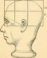 An illustration from Phrenology, and how to use it in analyzing character (1871)