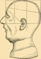 An illustration from Phrenology, and how to use it in analyzing character (1871)