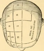 An illustration from Phrenology, and how to use it in analyzing character (1871)