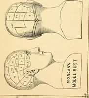 Picture 4 of 74 from Phrenology, and how to use it in analyzing character (1871), leaf 20
