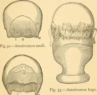 An illustration from Phrenology, and how to use it in analyzing character (1871)