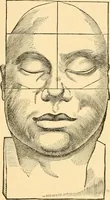 An illustration from Phrenology, and how to use it in analyzing character (1871)