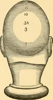 An illustration from Phrenology, and how to use it in analyzing character (1871)