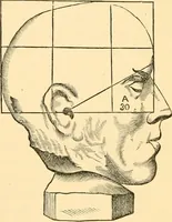Picture 45 of 74 from Phrenology, and how to use it in analyzing character (1871), leaf 289