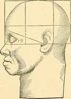An illustration from Phrenology, and how to use it in analyzing character (1871)