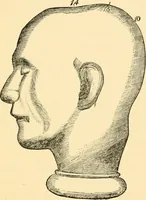 An illustration from Phrenology, and how to use it in analyzing character (1871)