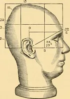 An illustration from Phrenology, and how to use it in analyzing character (1871)