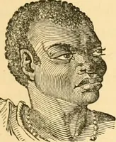 An illustration from Phrenology, and how to use it in analyzing character (1871)