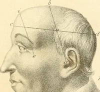 An illustration from Phrenology, in connection with the study of physiognomy (1833)
