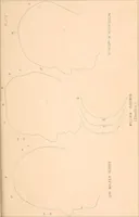 An illustration from Phrenology : and its application to education, insanity, and prison discipline (1869)