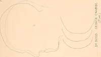 An illustration from Phrenology : and its application to education, insanity, and prison discipline (1869)