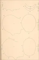 An illustration from Phrenology : and its application to education, insanity, and prison discipline (1869)