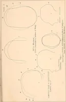 An illustration from Phrenology : and its application to education, insanity, and prison discipline (1869)