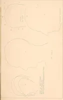 Picture 9 of 11 from Phrenology : and its application to education, insanity, and prison discipline (1869), leaf 644