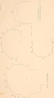 An illustration from Phrenology : and its application to education, insanity, and prison discipline (1869)