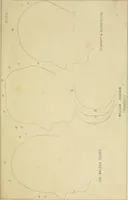 An illustration from Phrenology : and its application to education, insanity, and prison discipline (1869)