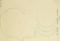Picture 2 of 13 from Phrenology : and its application to education, insanity, and prison discipline (1869), leaf 632