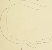 An illustration from Phrenology : and its application to education, insanity, and prison discipline (1869)