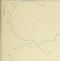 An illustration from Phrenology : and its application to education, insanity, and prison discipline (1869)
