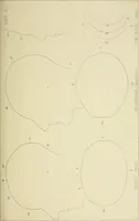 An illustration from Phrenology : and its application to education, insanity, and prison discipline (1869)