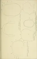 An illustration from Phrenology : and its application to education, insanity, and prison discipline (1869)