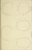 Picture 9 of 13 from Phrenology : and its application to education, insanity, and prison discipline (1869), leaf 642
