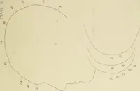 An illustration from Phrenology : and its application to education, insanity, and prison discipline (1869)